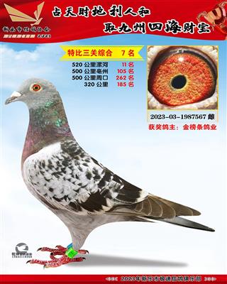 �رȻ������ۺ�7��