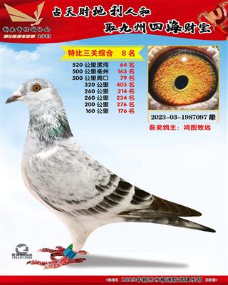 �ر������ۺ�8��