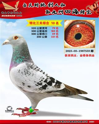 �ر������ۺ�10��