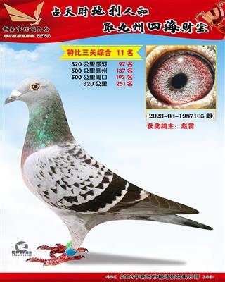 �ر��ۺ�11��