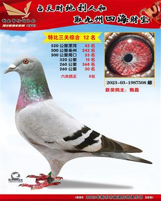 ���ظ���8��