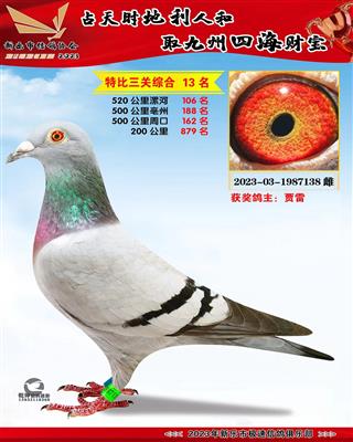 �رȻ��ۺ�13��