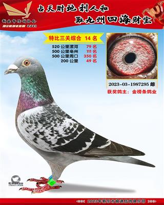 �ر��ۺ�14��