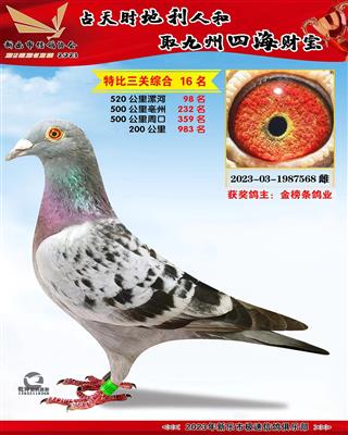 �ر��ۺ�16��