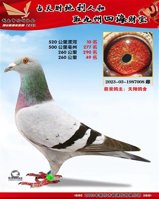 ��ɱ��10��