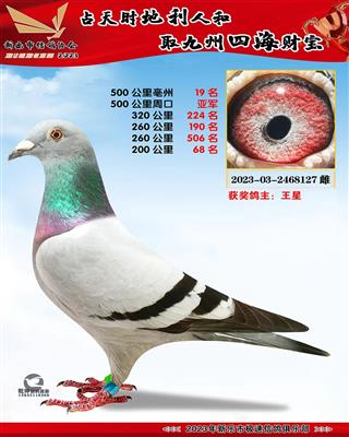 500�����Ǿ�