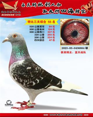 �Ĺ��ۺ�47��