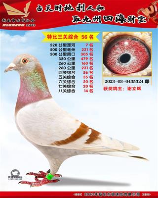 �˹��ۺ�14��