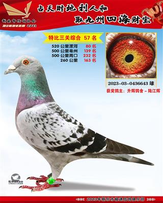 �ر��ۺ�57��