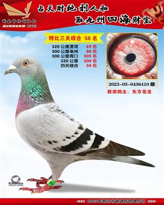 �Ĺ��ۺ�58��