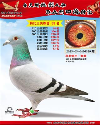 5�ظ���33��