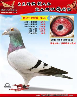 �ر��ۺ�60��