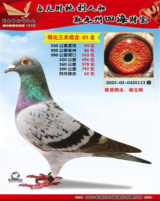 �ر��ۺ�61��