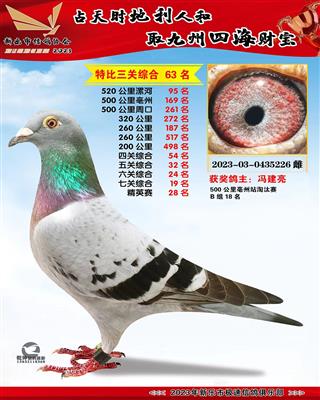 �߹ظ���19��