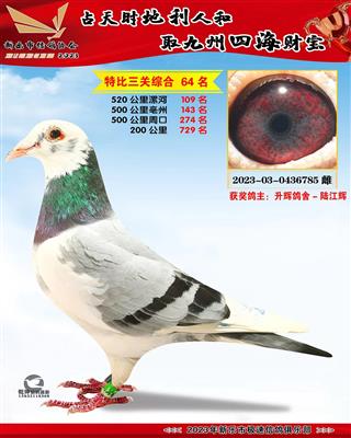 �ر��ۺ�64��