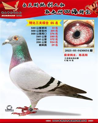 ��Ӣ�ۺ�29��