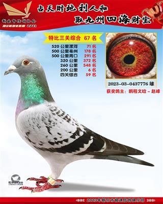 �Ĺ��ۺ�59��