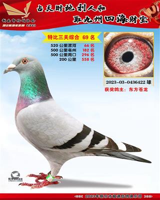 �ر��ۺ�69��