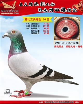 �Ĺظ���53��