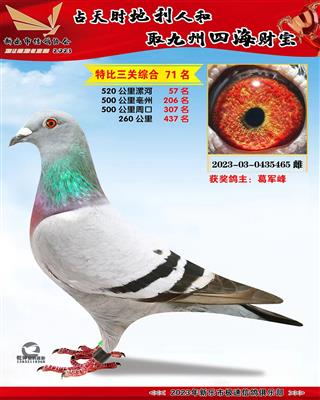 �ر��ۺ�71��