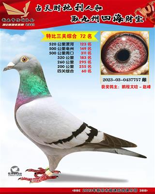 �Ĺ��ۺ�60��