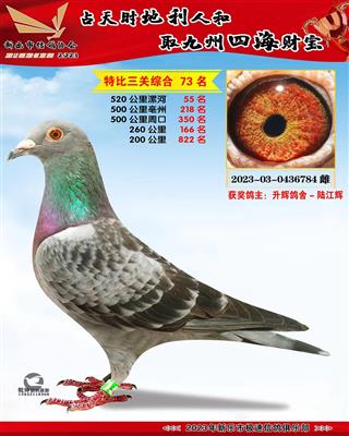 �ر��ۺ�73��