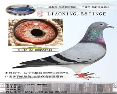 cҴ  ʷ˹ 彩 520