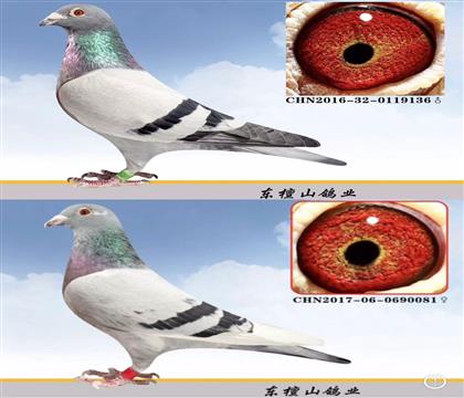 ְֹ50xOŮ