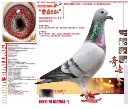 ĸղɭԭֱ̖Ů