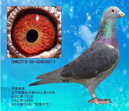 H ͬĸ