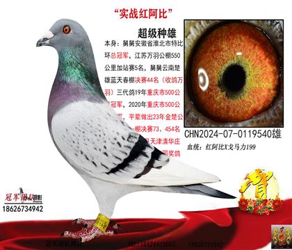 һĸO(sh)(zhn)tȣ