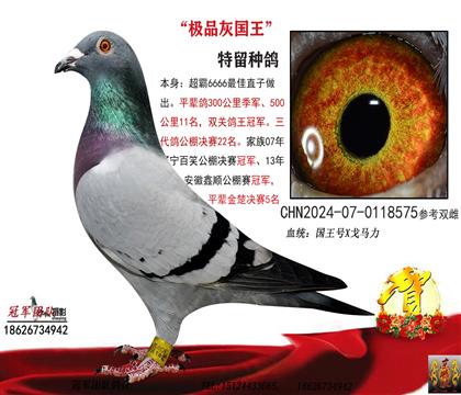 OƷ̖(ho)575