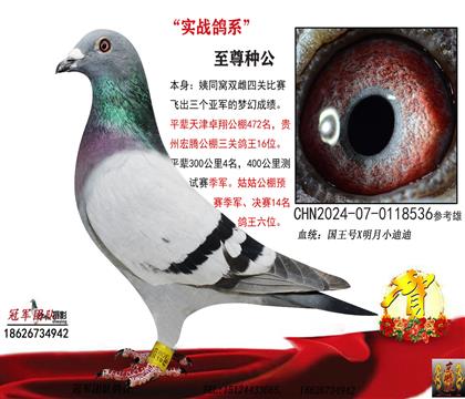 (sh)(zhn)ϵ