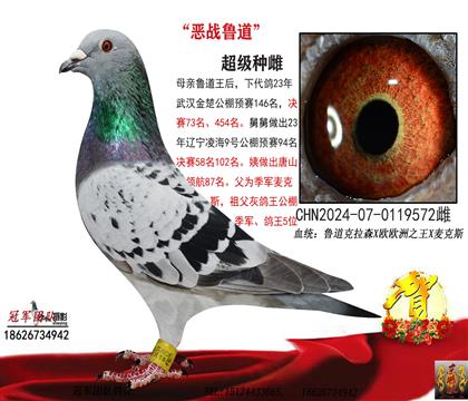 (zhn)?sh)? width=