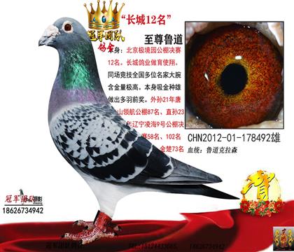 游һL(zhng)12