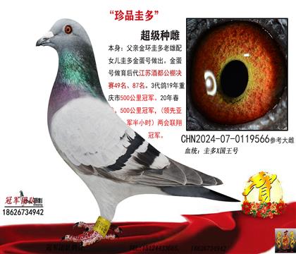 䌦(du)