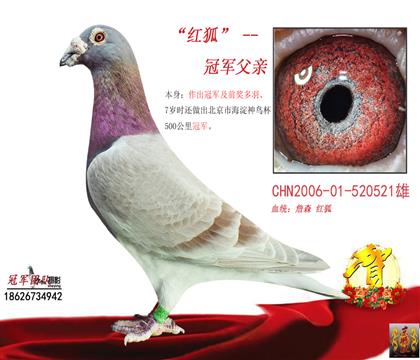 游һ¼t܊Դ^