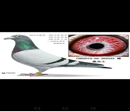Hһ܊A(jing)6λ(sh)