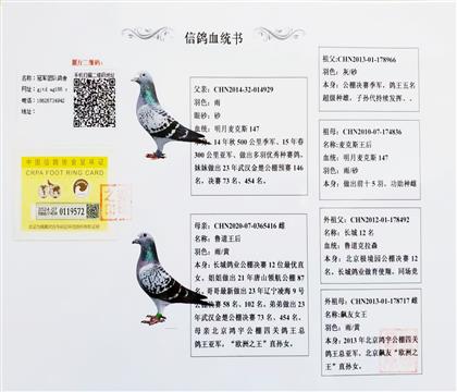 䌦(du)Ѫy(tng)