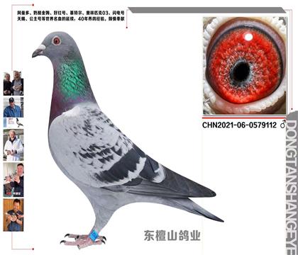 ĸRϵxղɭϵ