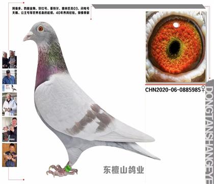 ĸnֱO