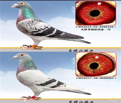 ɣʿһ̖ĸղɭOŮ