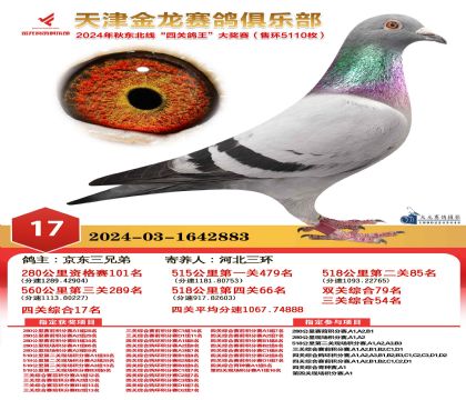 天津金龍鴿王17名