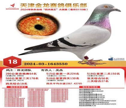 天津金龍鴿王18名