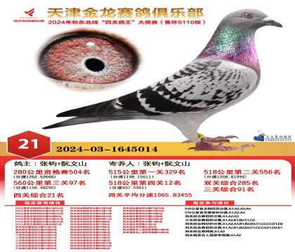 天津金龍鴿王21名