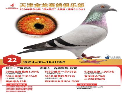 天津金龍鴿王22名