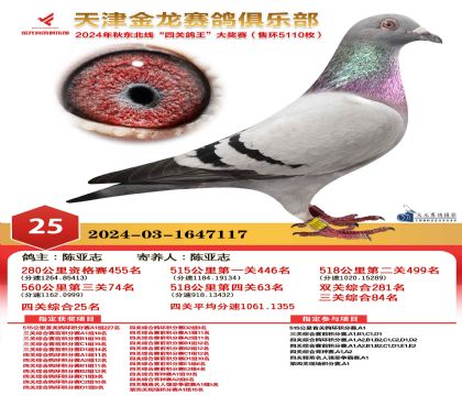 天津金龍鴿王25名