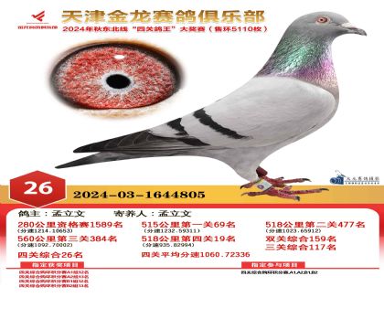 天津金龍鴿王26名