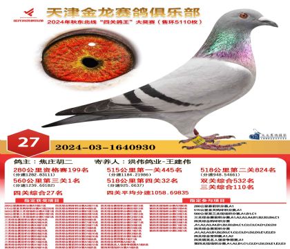天津金龍鴿王27名