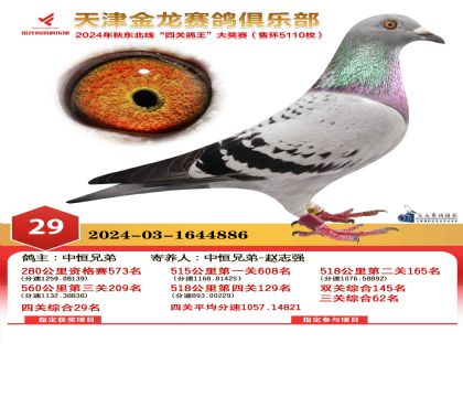 天津金龍鴿王29名